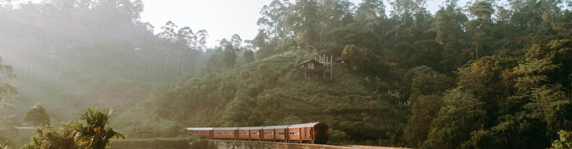 Scenic view of Nine Arches Bridge with train passing through lush greenery in Sri Lanka.